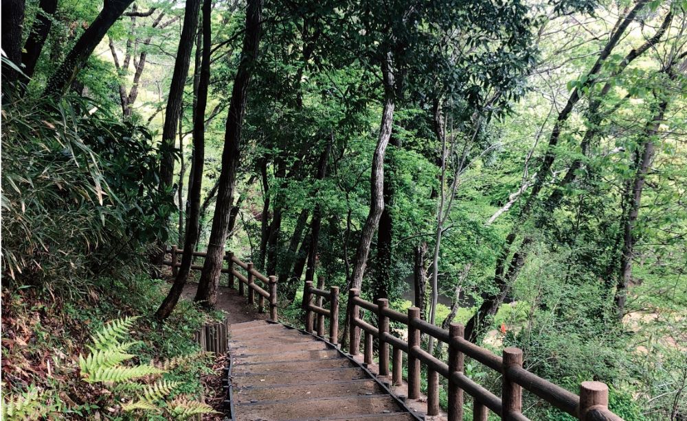 03 Higashi-Takane Forest Park