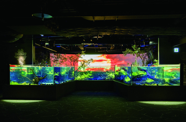 03　“Kawasui Kawasaki Aquarium”